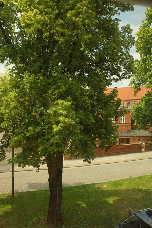 Apartamento Fewo Auf Der Dominsel-Domlinden Brandenburg  Habitación foto